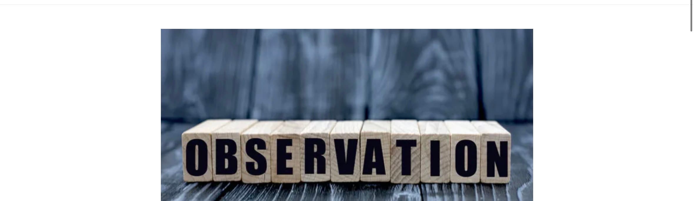 IMG_1649