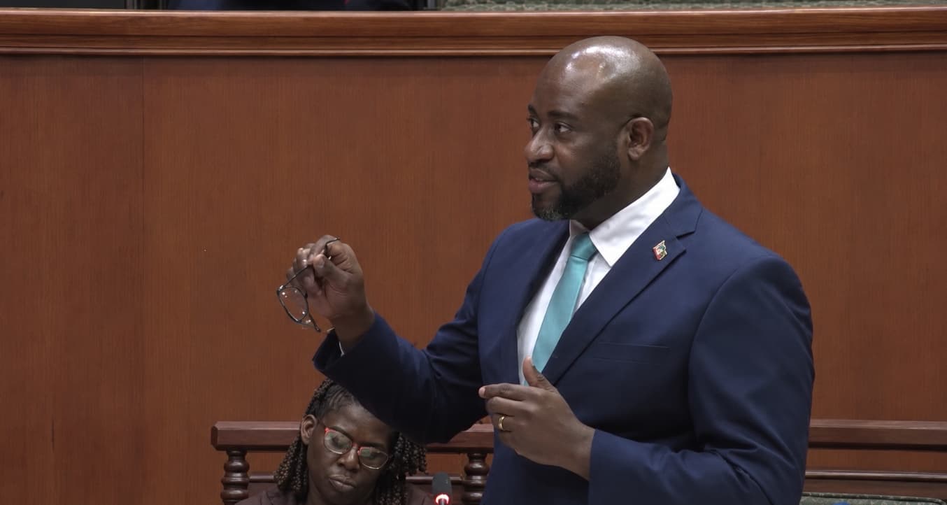 ashworth azille talking in parliament