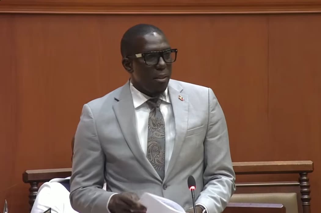 pringle in grey suit and grey tie and glasses speaking in parliament