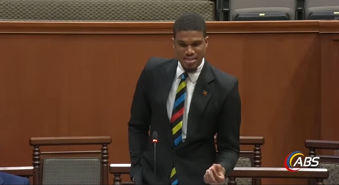 jonathan wehner talking in parliament in black suit and antigua tie and white shirt lokking intently at government bench
