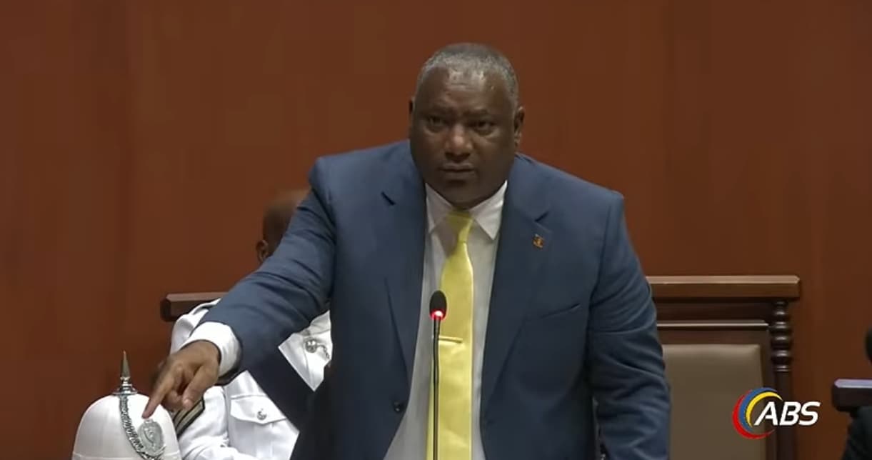 chester hughes talking in parliament in yellow tie and blue grey suit pointing down and looking at the top government bench